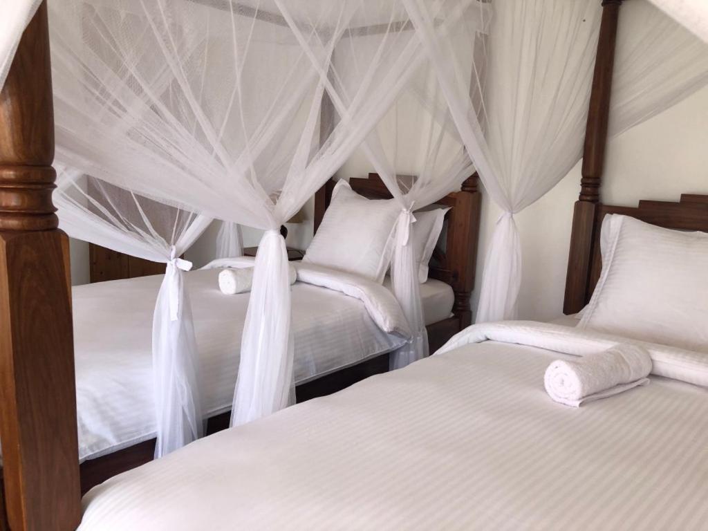 Bird Of Paradise Eco Bed & Breakfast Arusha