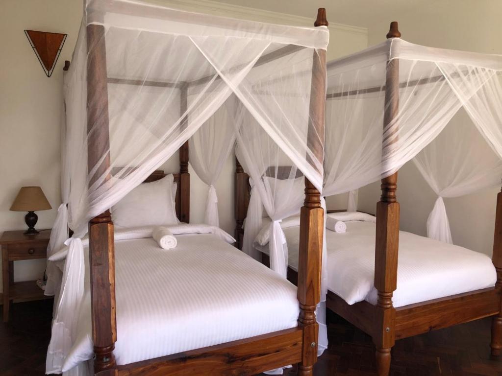 Bed & Breakfast Bird Of Paradise Eco *